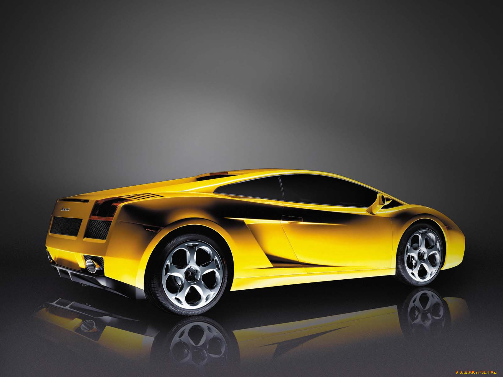 gallardo, , lamborghini